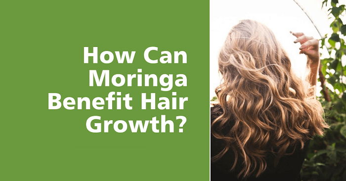 Moringa Benefits on Hair