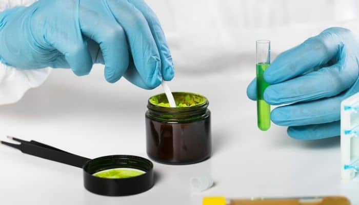 Scientist testing on Moringa Powder